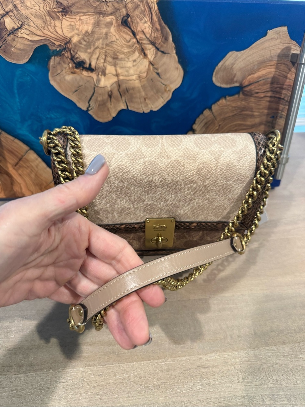 Coach Beige and Brown Signature Chain Crossbody Bag with Gold Hardware - Picture 6 of 10